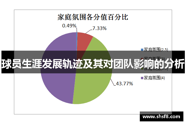 球员生涯发展轨迹及其对团队影响的分析