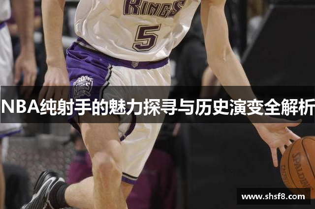 NBA纯射手的魅力探寻与历史演变全解析